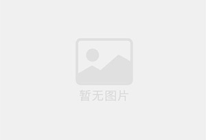 平舆个人公寓单间月租，带电梯